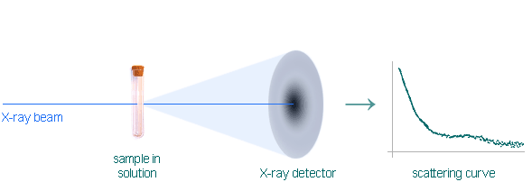 saxs technique -scheme